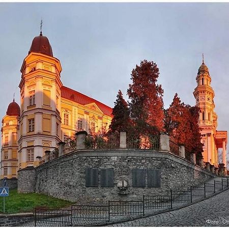 Старовинні Апартаменти У Центрі Міста Uzhhorod Ngoại thất bức ảnh