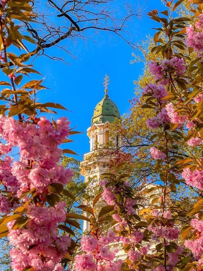 Старовинні Апартаменти У Центрі Міста Uzhhorod Ngoại thất bức ảnh